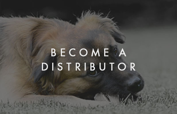Become A Distributor