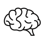 DHA for Brain Health