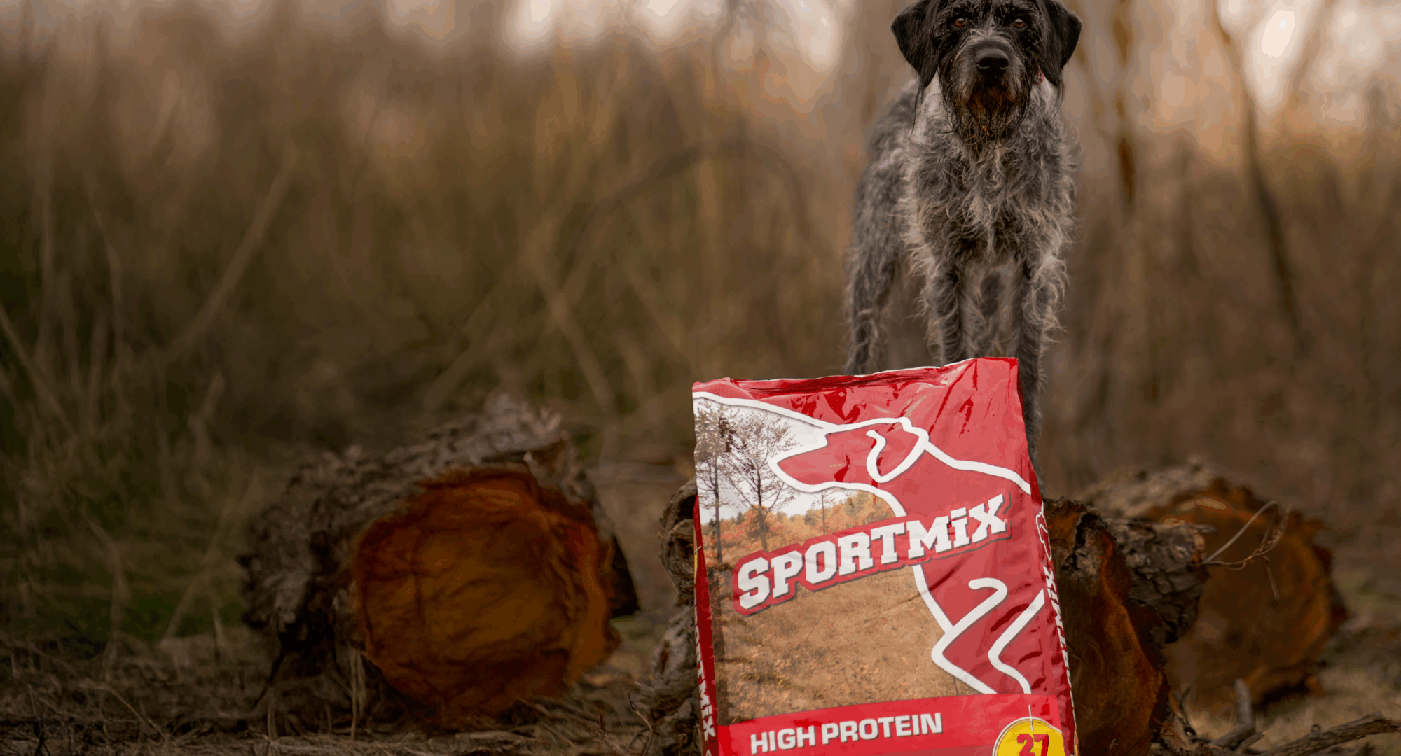 Dog with food bag – choosing the right winter dog nutrition plan