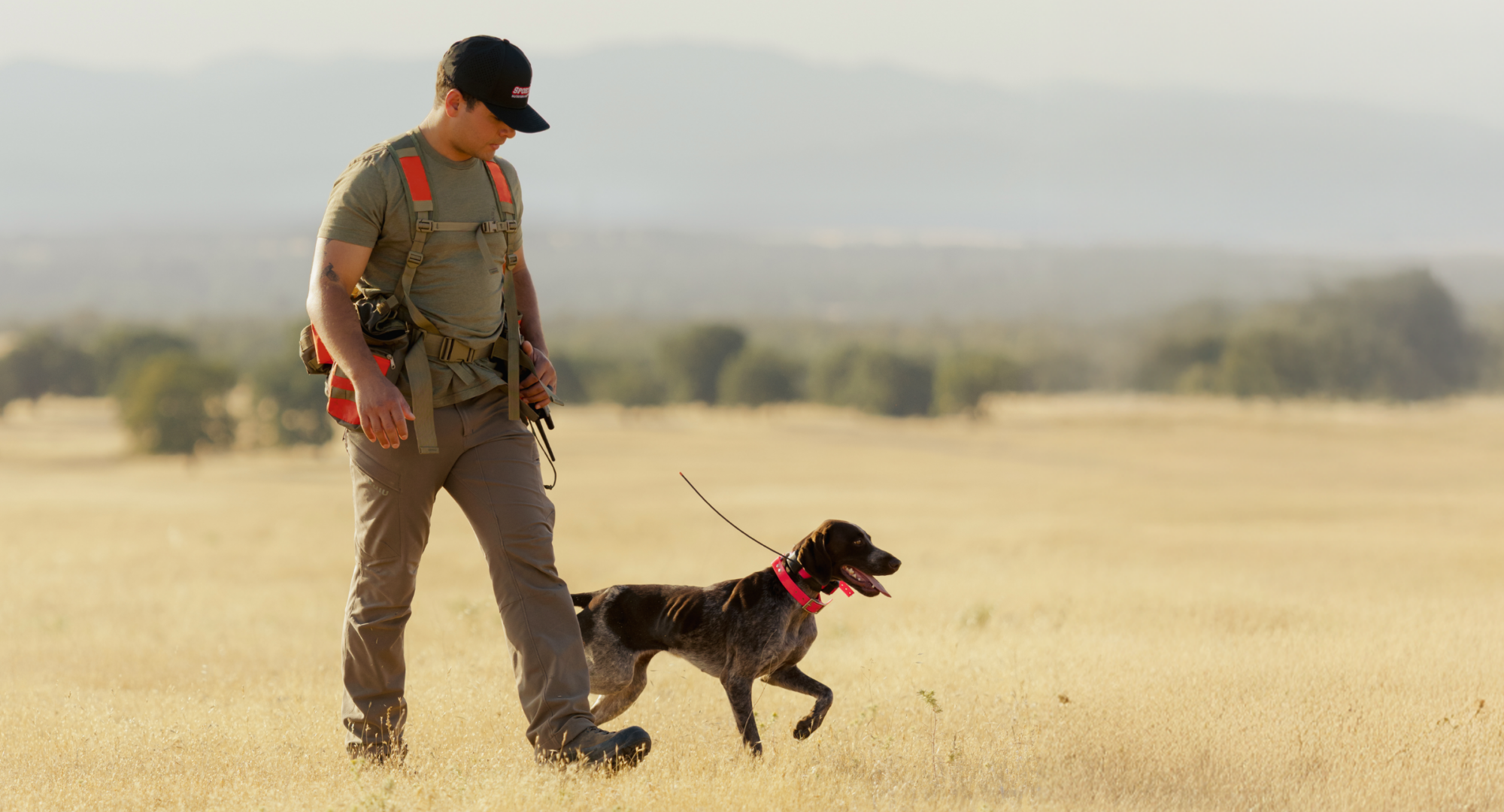 dog and man hunting
