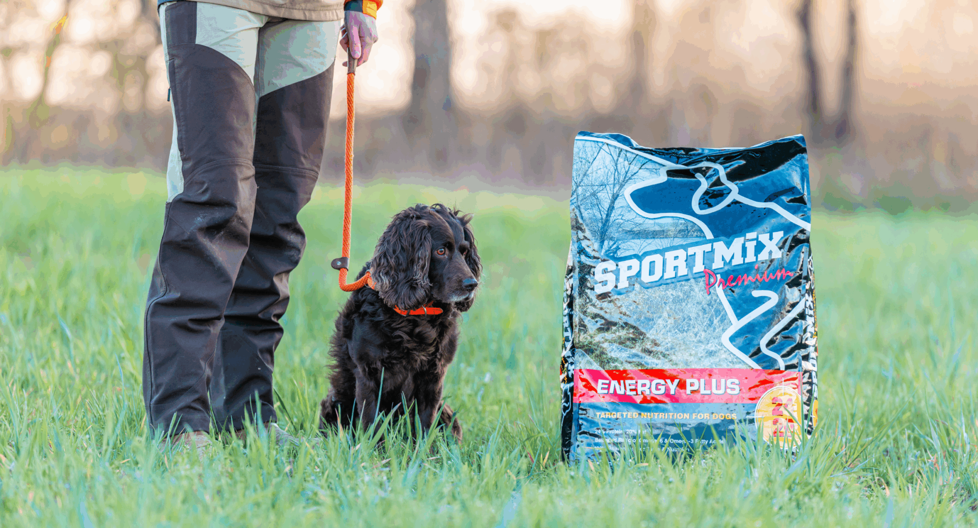 Person teaching dog to heel beside bag of food