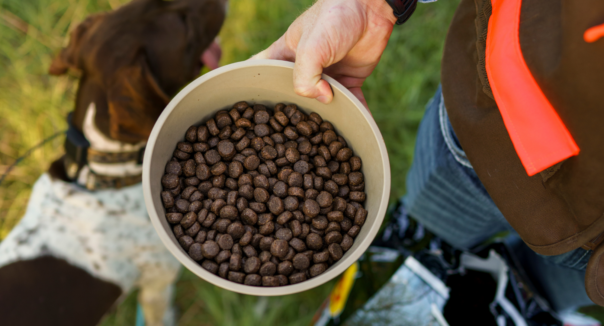 sport mix dog food close up