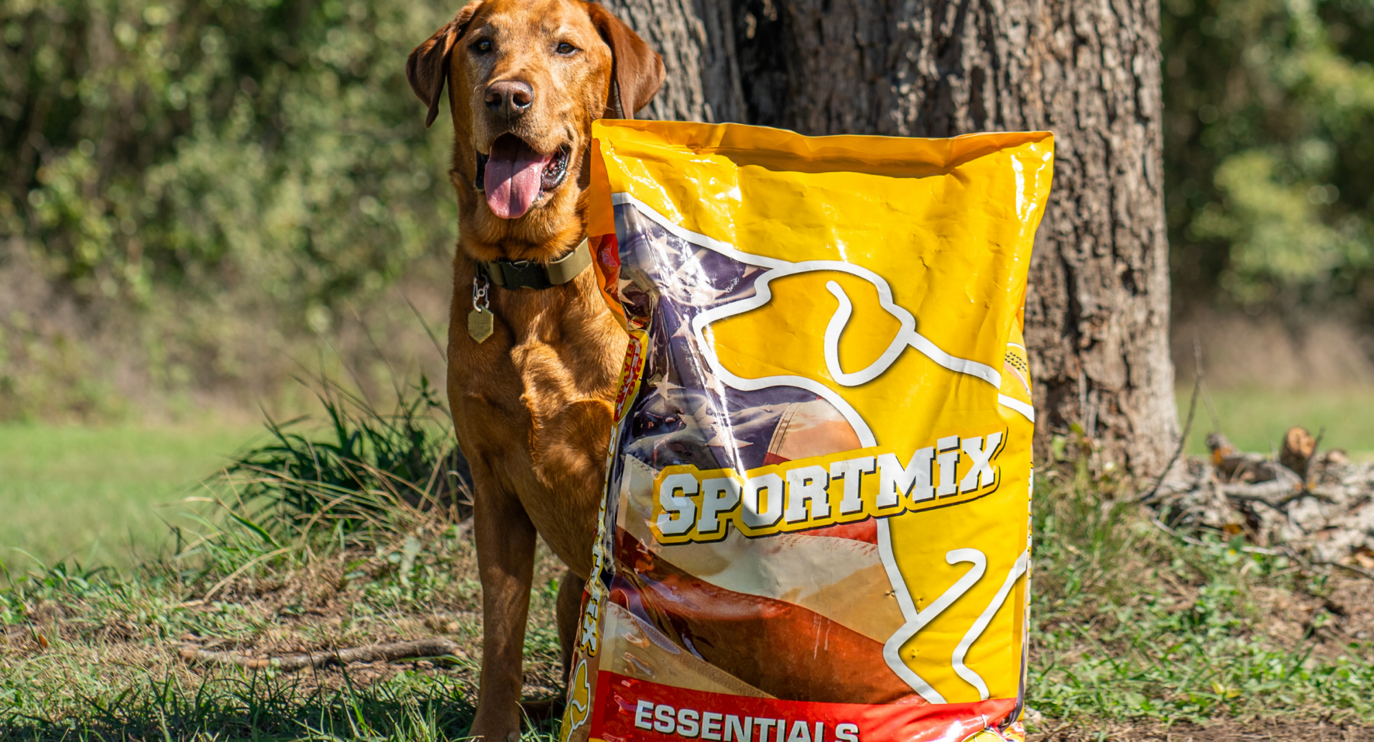 dog with essentials sport mix recipe