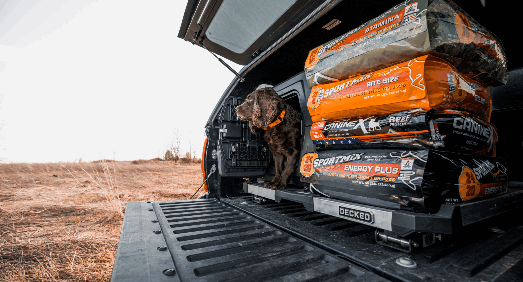 Dog looks out of back of truck standing by stack of dog food bags