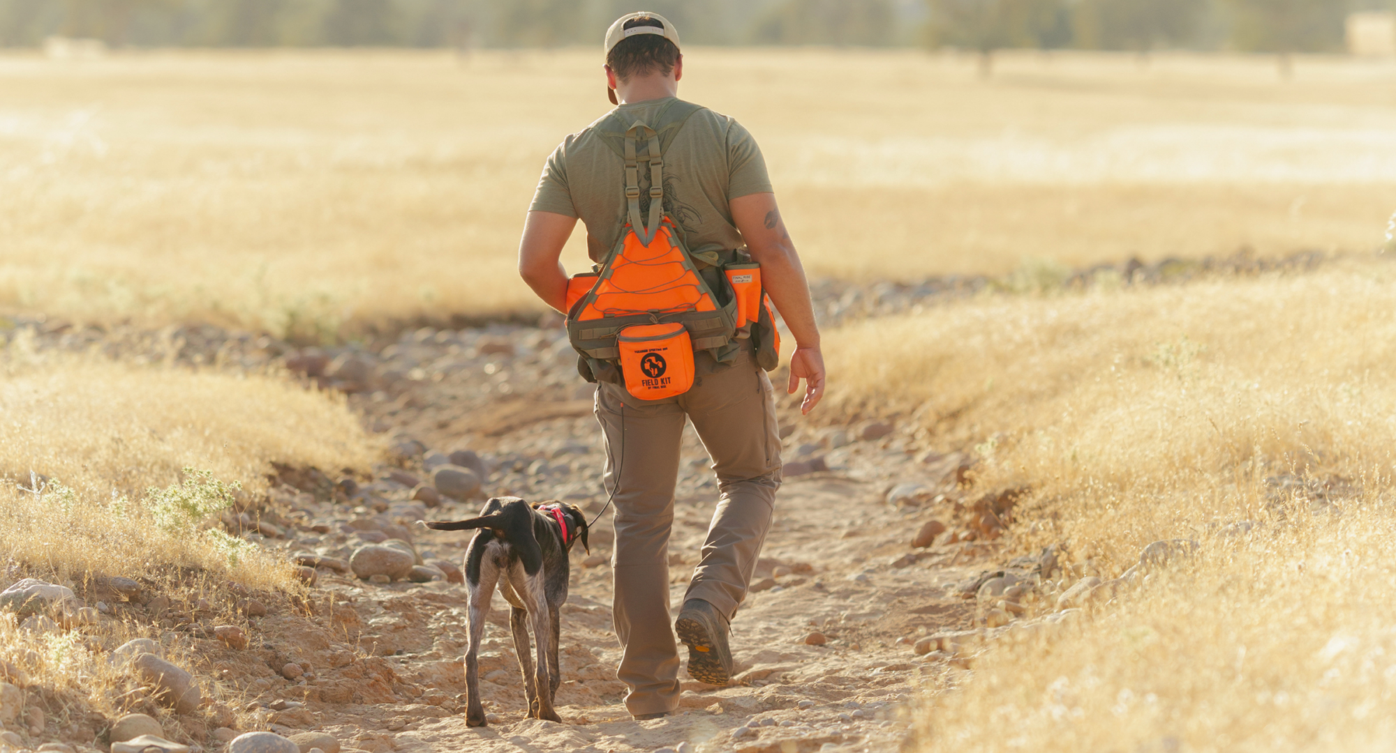 working dog and owner walking outside