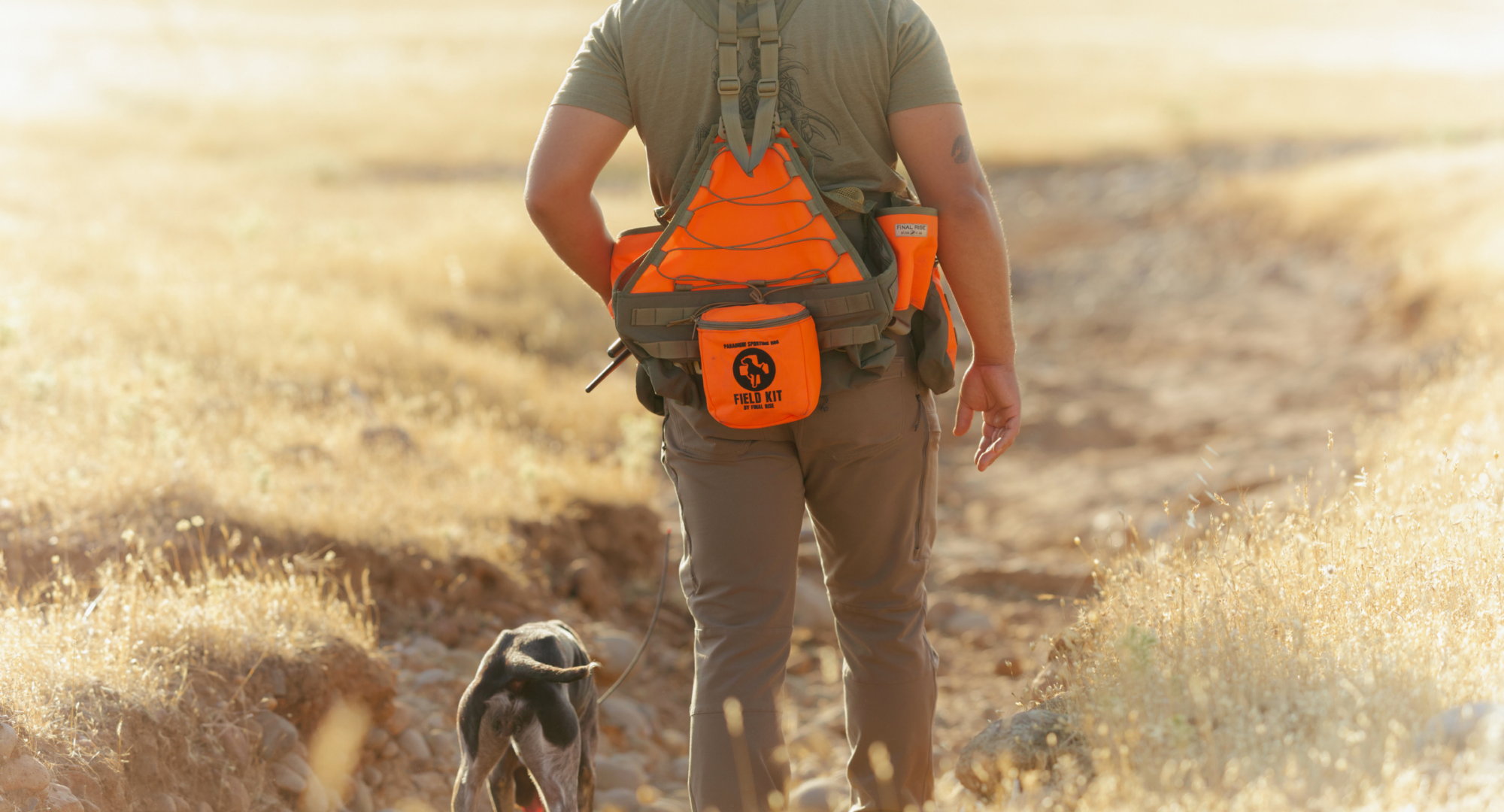 dog and man hunting