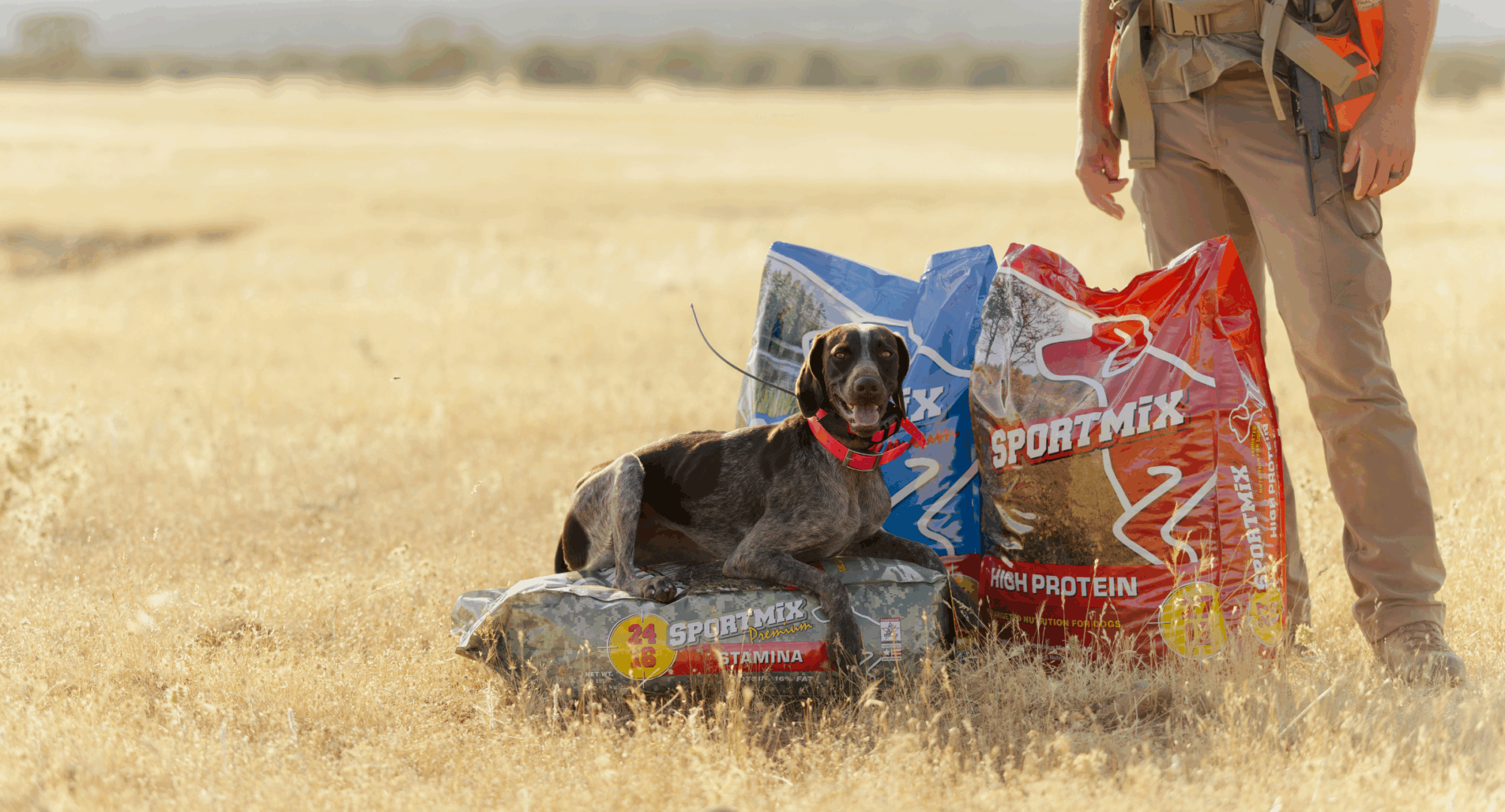 dog lays on bag of dog food as person stands by them