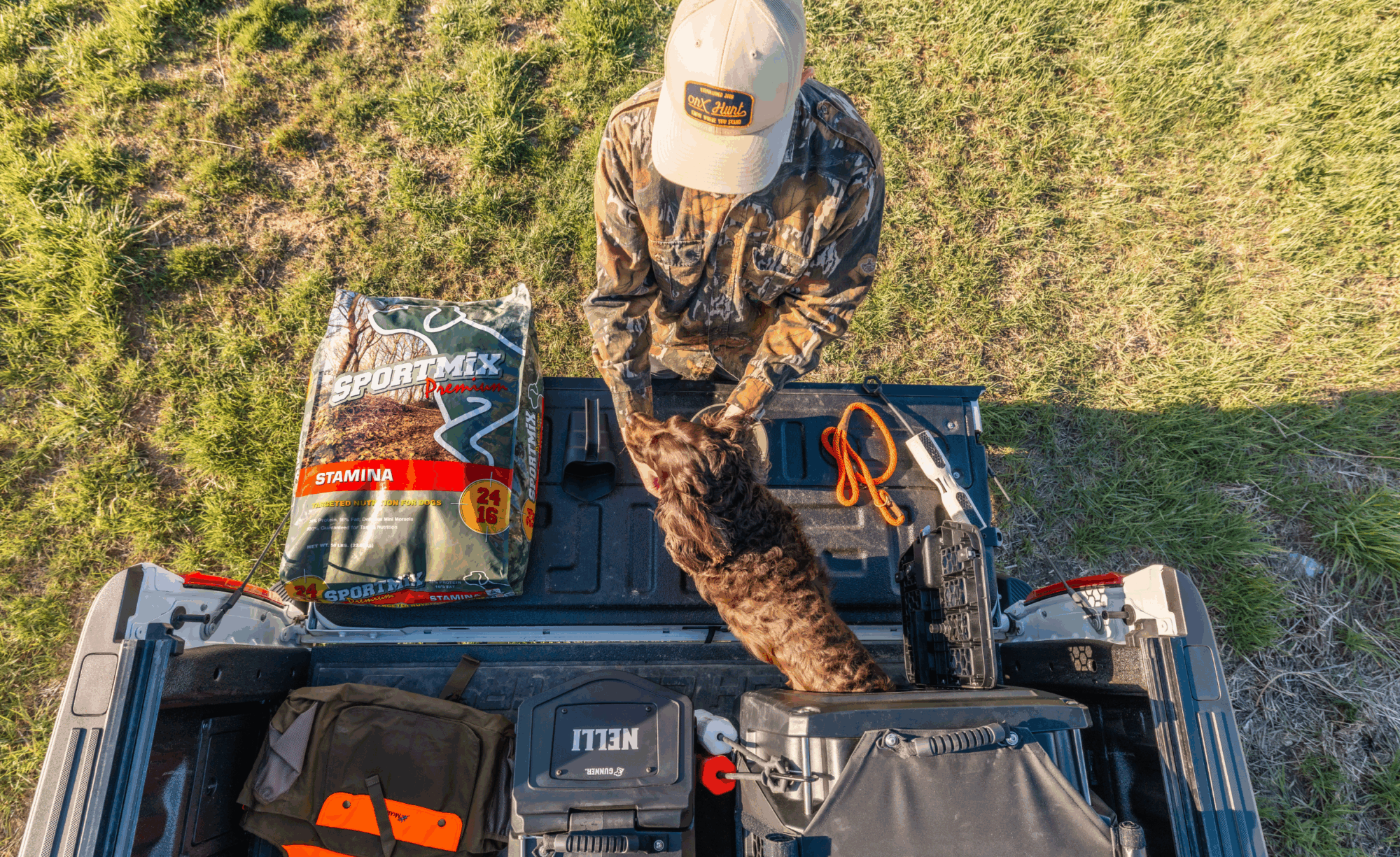 Hunting dog with essential gear loaded in truck bed