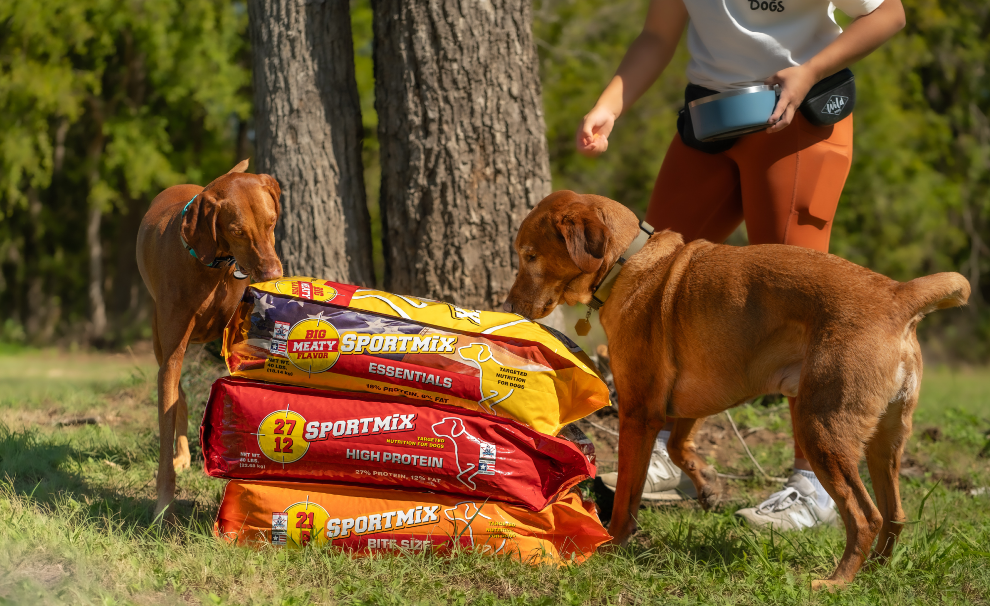 Dog standing with SPORTMIX dog food